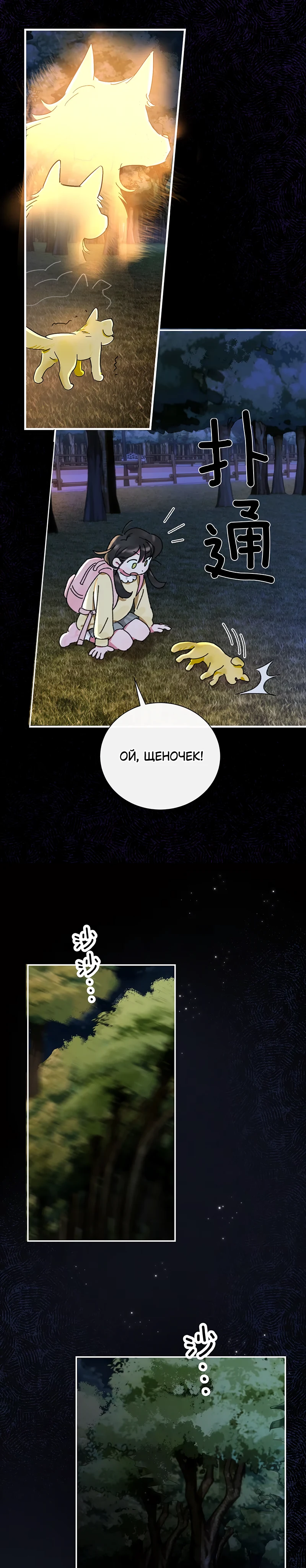 Страница 5 из 16