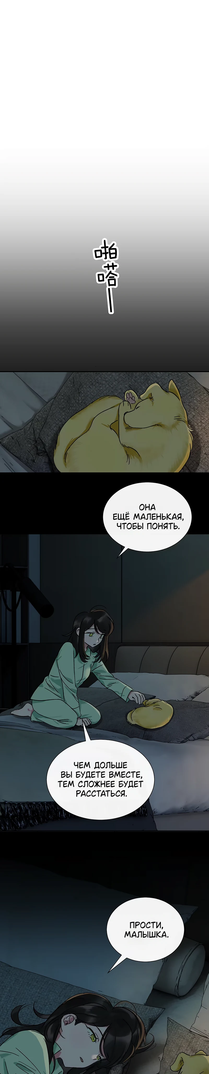 Страница 14 из 16