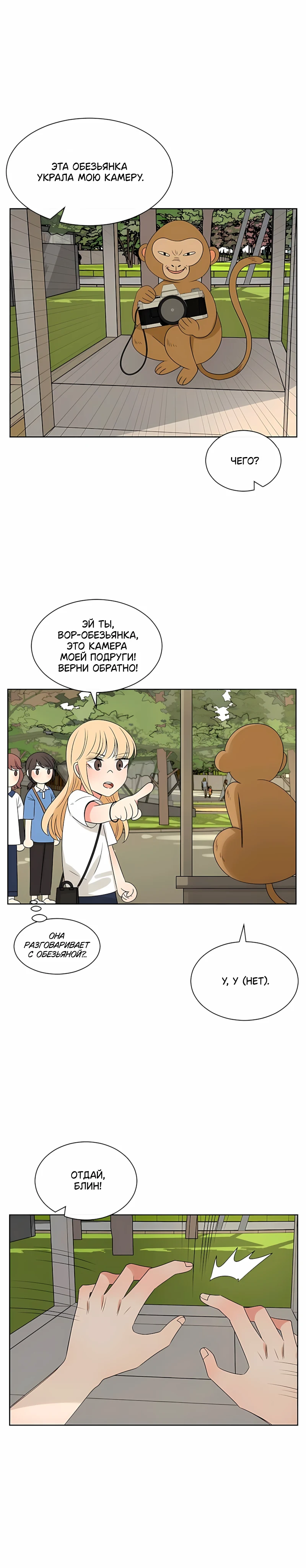Страница 10 из 16