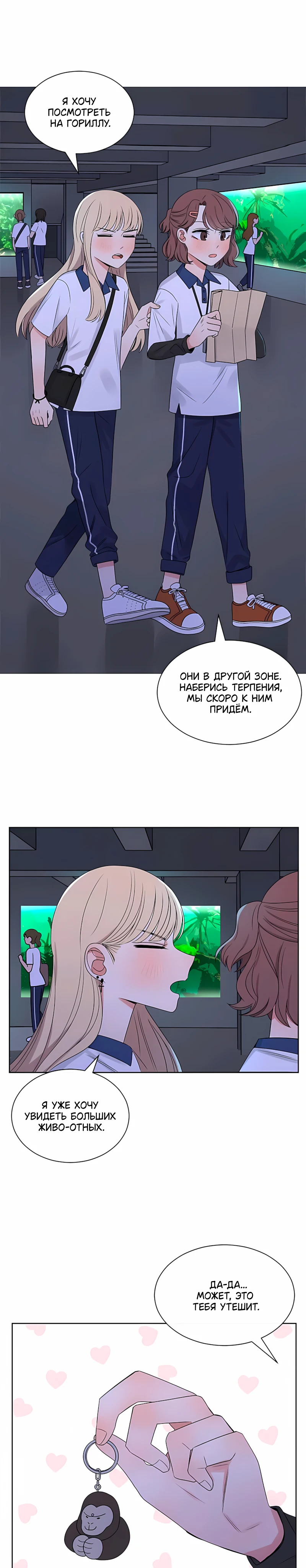 Страница 6 из 16