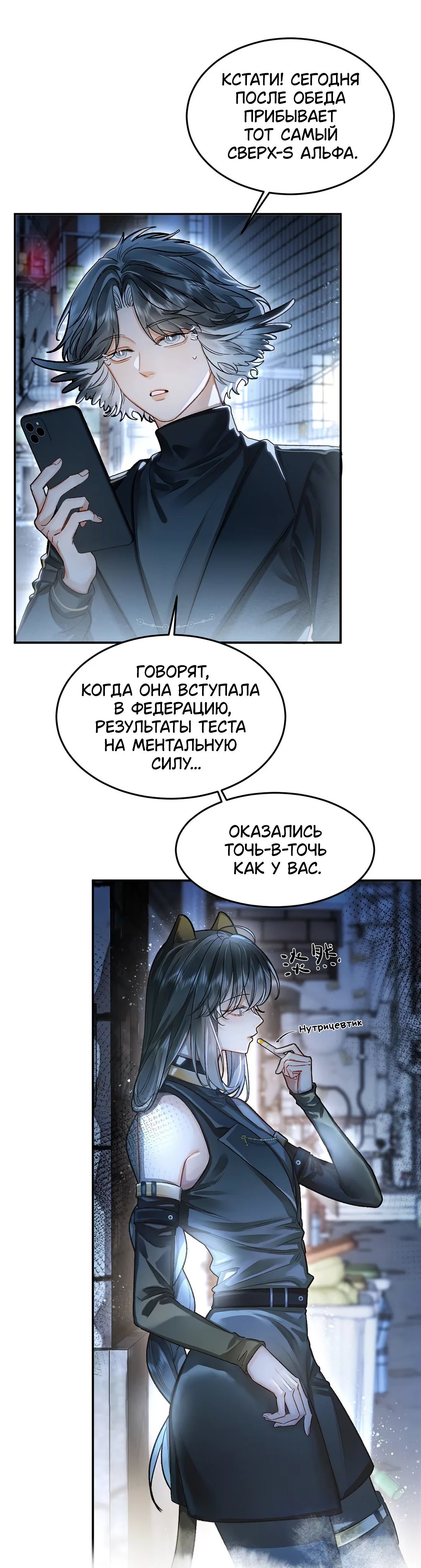 Страница 5 из 22