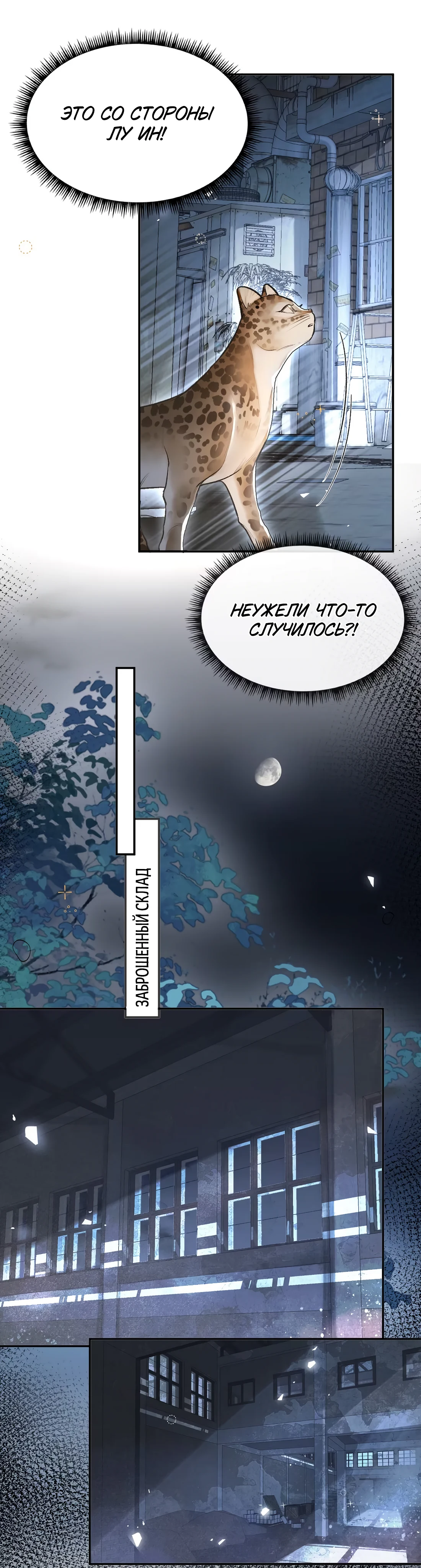 Страница 12 из 22
