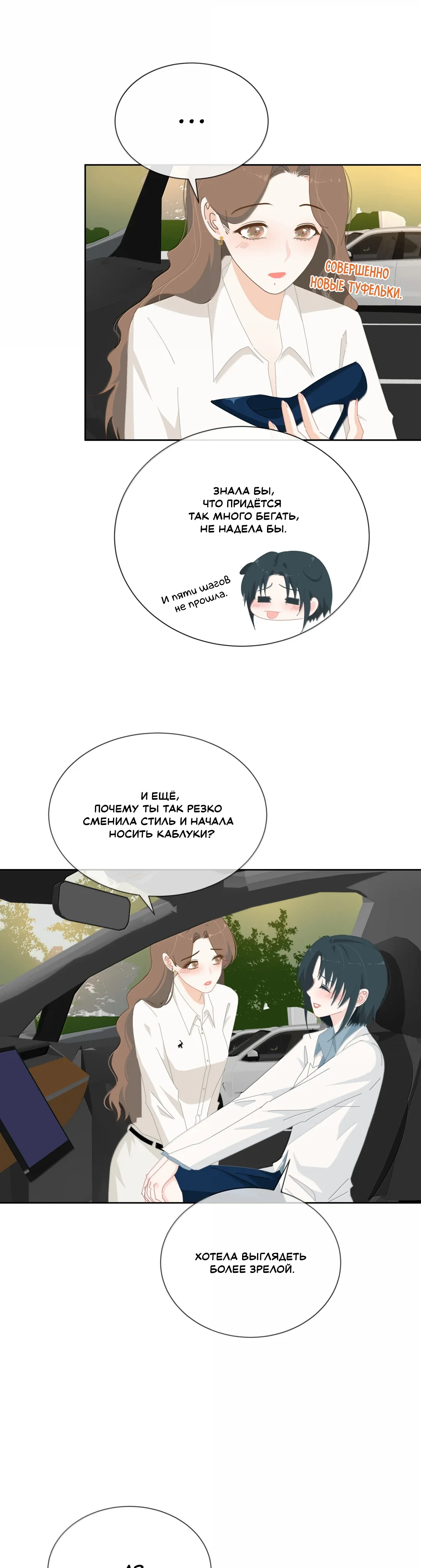 Страница 3 из 13