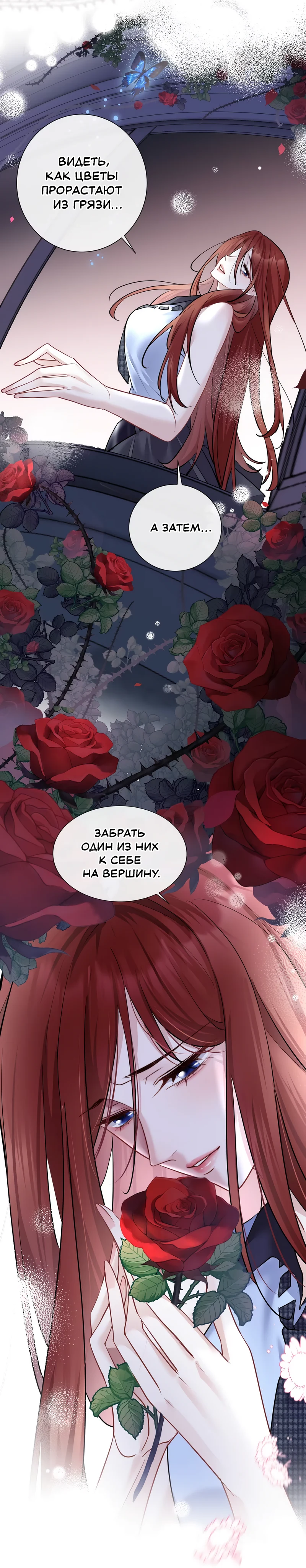 Страница 13 из 14
