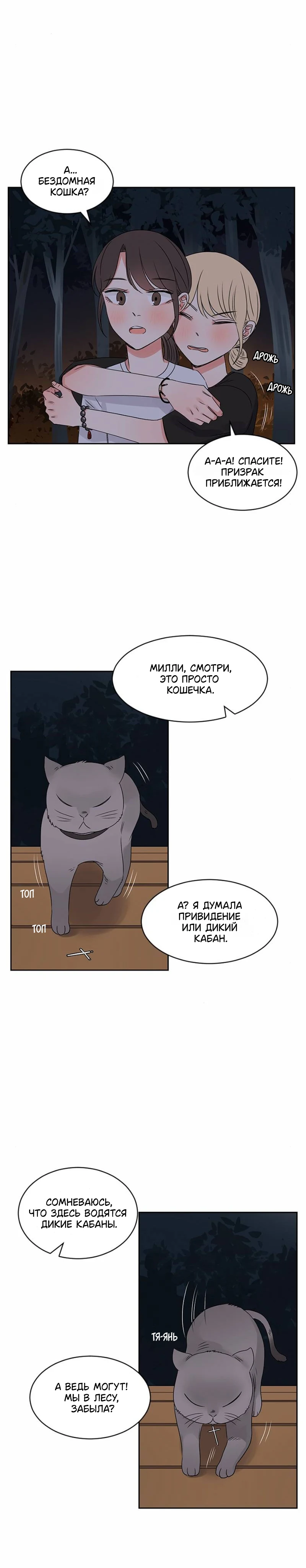 Страница 7 из 24
