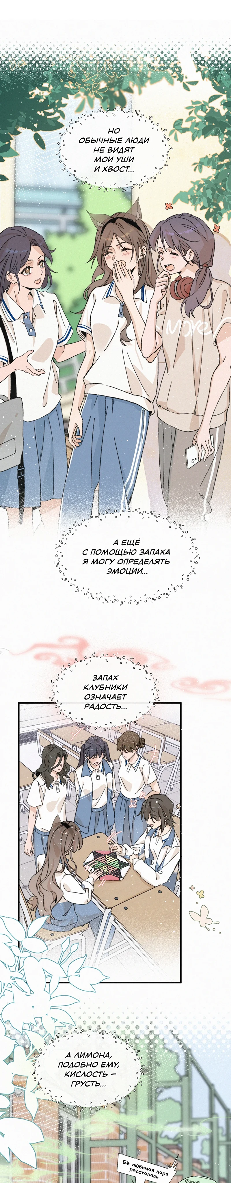 Страница 4 из 11